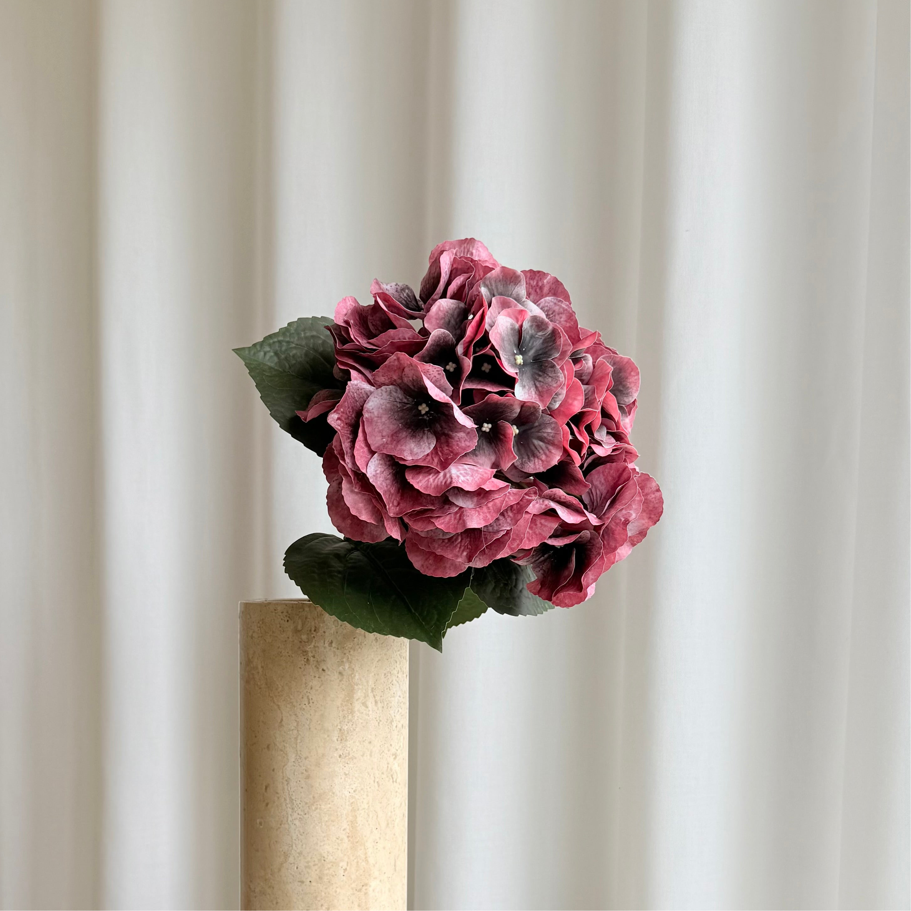 Hortensia bordeaux