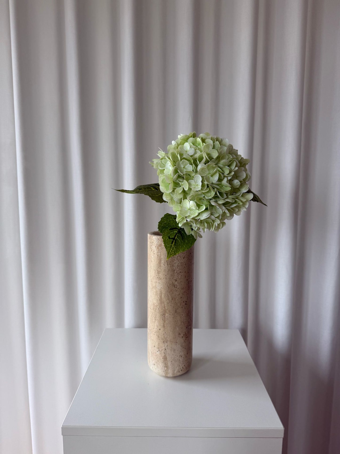 Hortensia lyse grøn