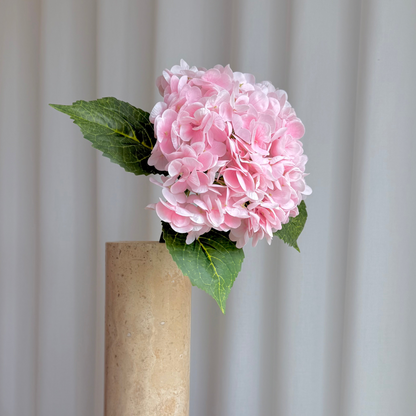 Hortensia lyserød