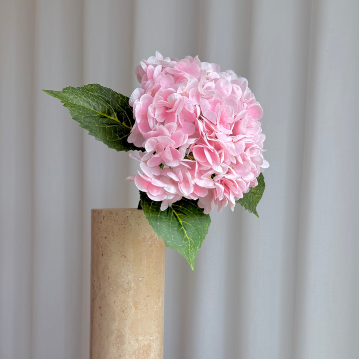 Hortensia lyserød