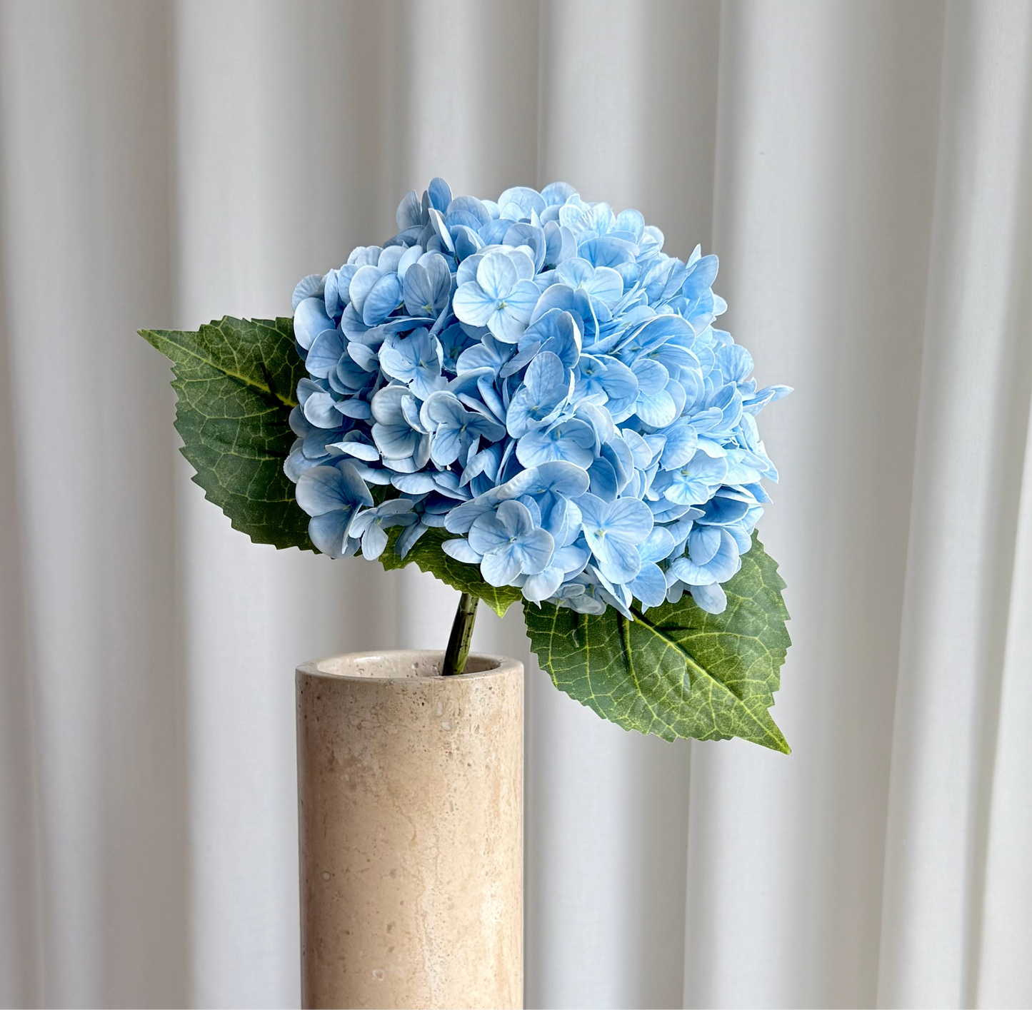 Hortensia blå
