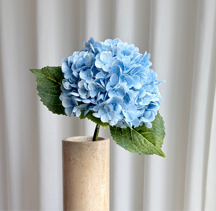 Hortensia blå