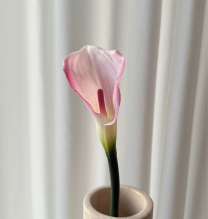 Calla lyserød