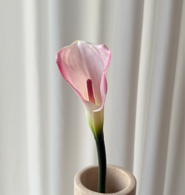 Calla lyserød