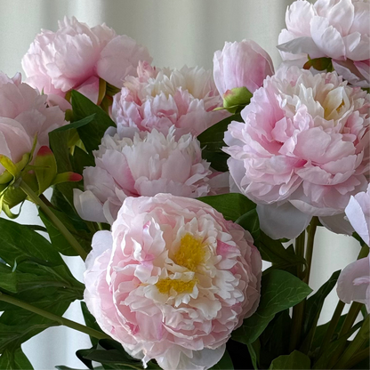 Bouquet pæoner no.6