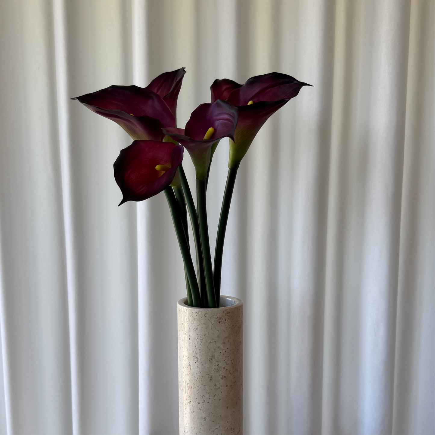 Calla bordeaux