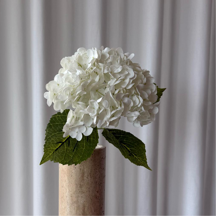 Hortensia hvid
