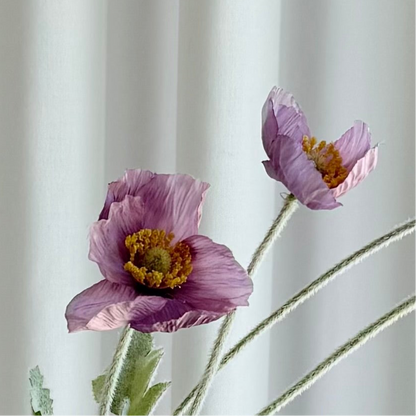 Poppy lilla
