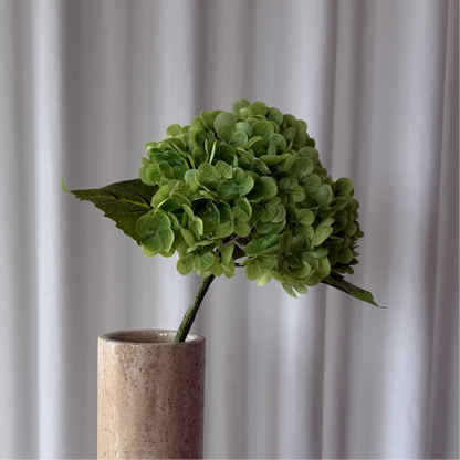 Hortensia grøn