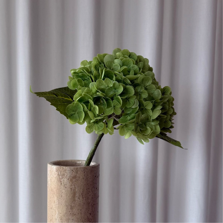 Hortensia grøn
