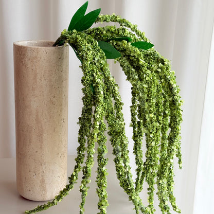 Amaranthus lysegrøn