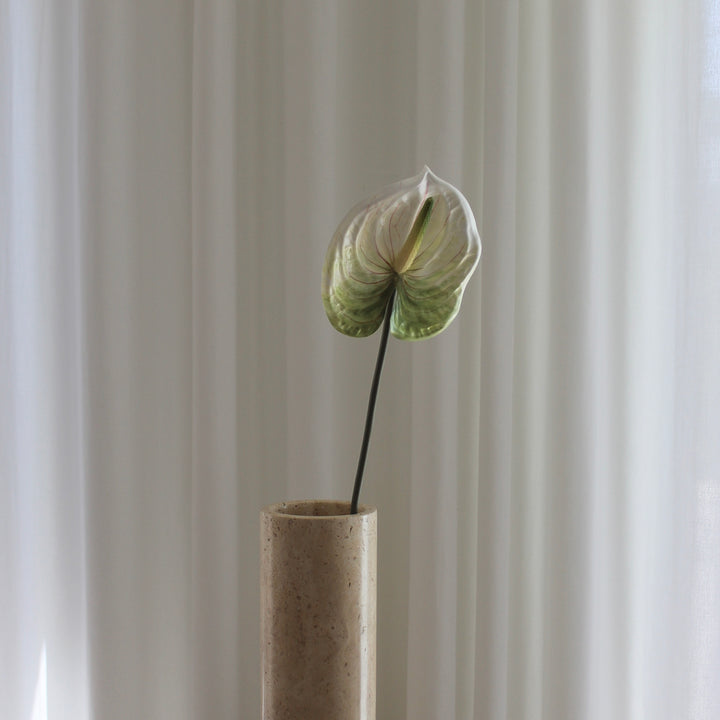 Anthurium grøn/hvid