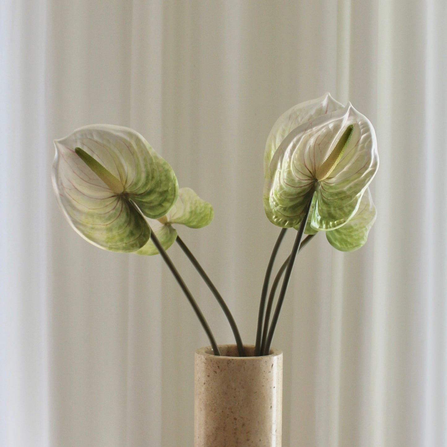 Anthurium grøn/hvid