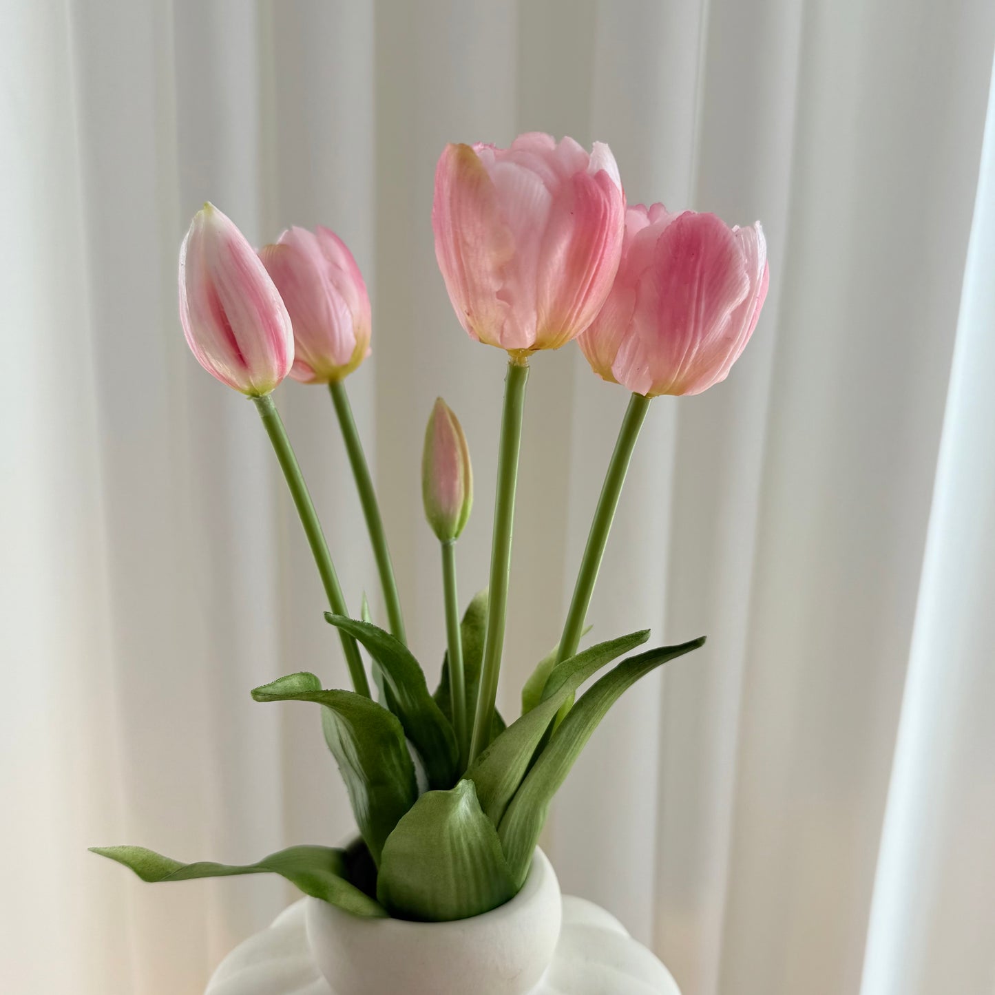 Tulipaner lyserøde