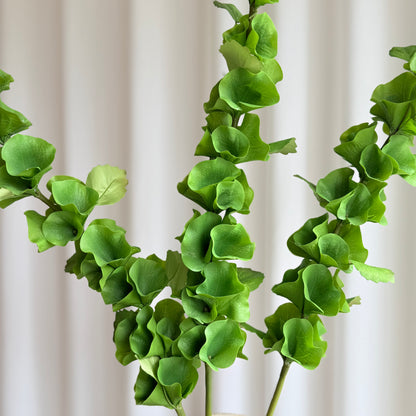 Bells Of Ireland