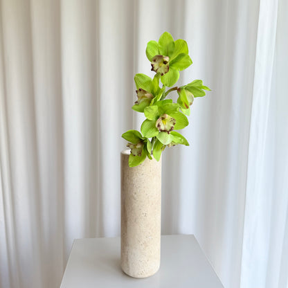 Cymbidium grøn