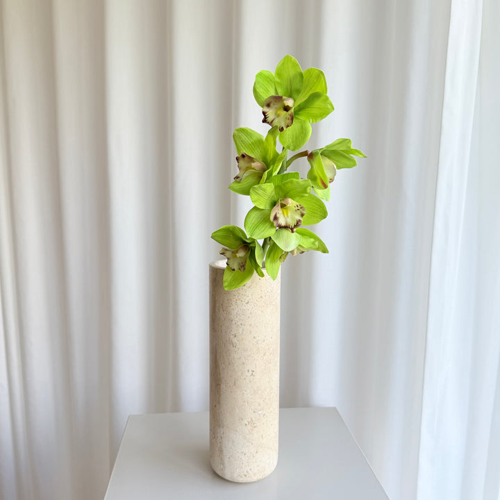 Cymbidium grøn