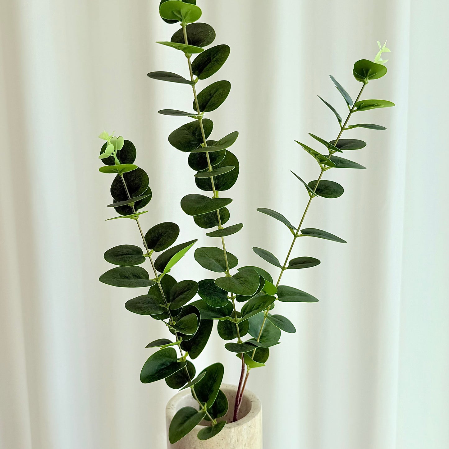 Eucalyptus grøn