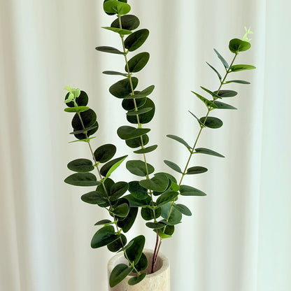Eucalyptus grøn