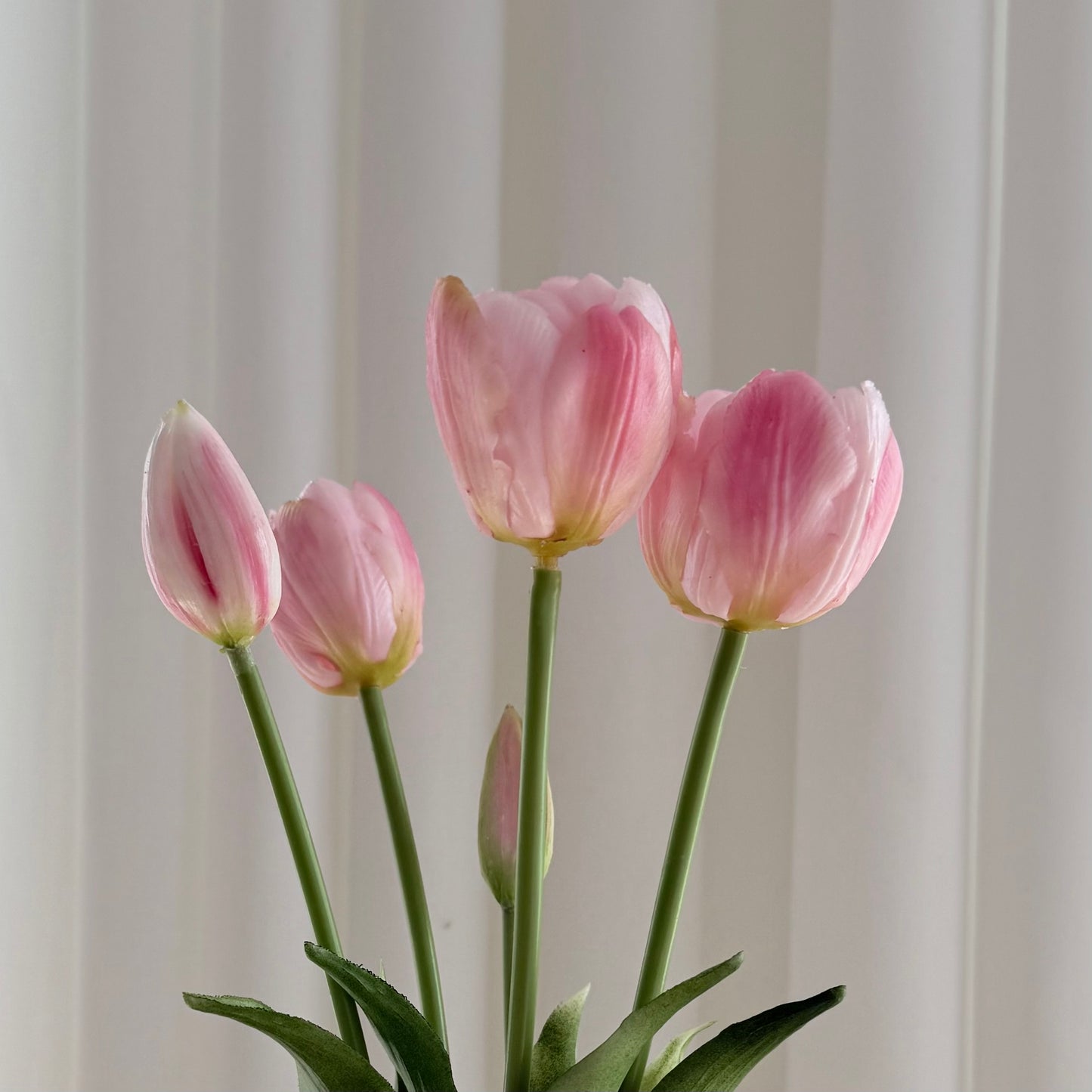 Tulipaner lyserøde