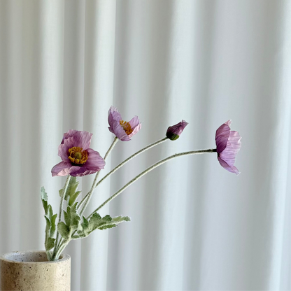 Poppy lilla