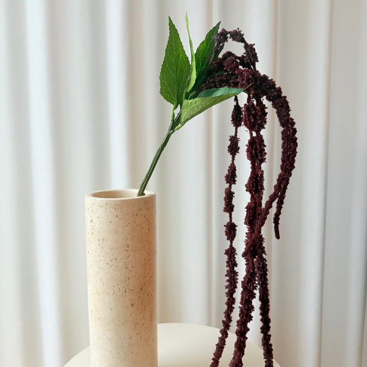 Amaranthus bordeaux