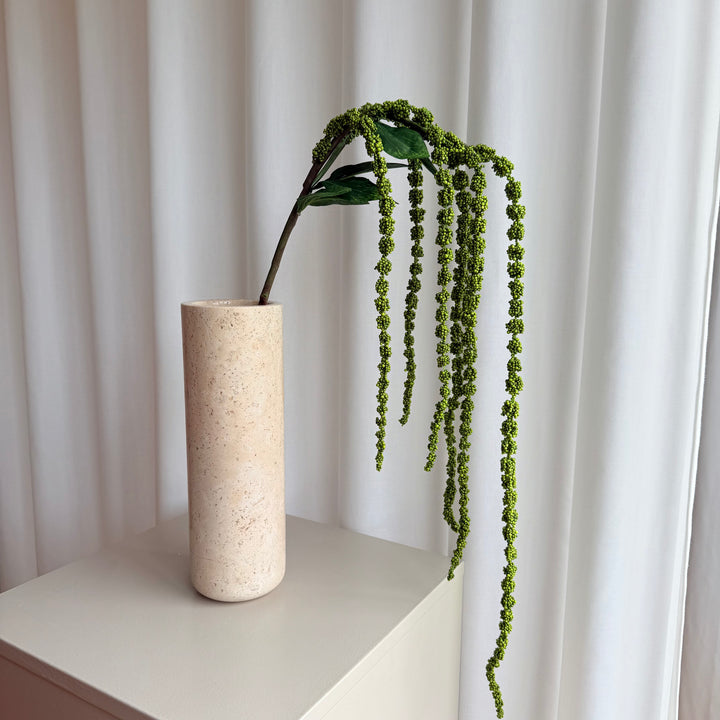 Amaranthus grøn
