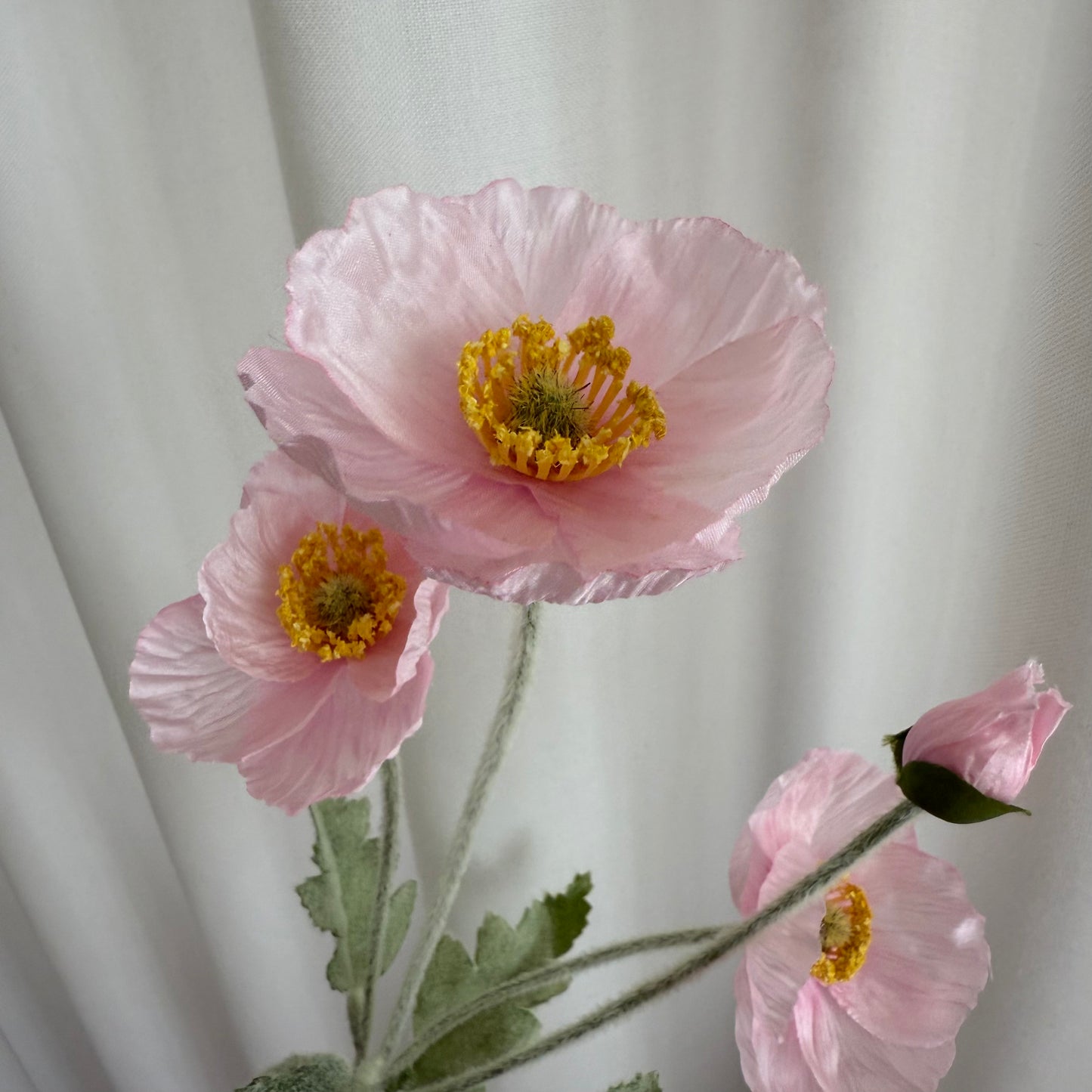 Poppy lyserød