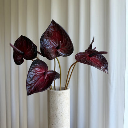 Anthurium mørke rød