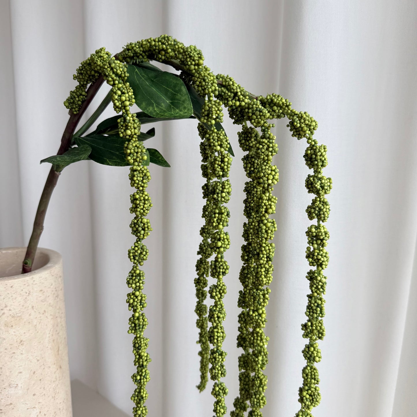Amaranthus grøn