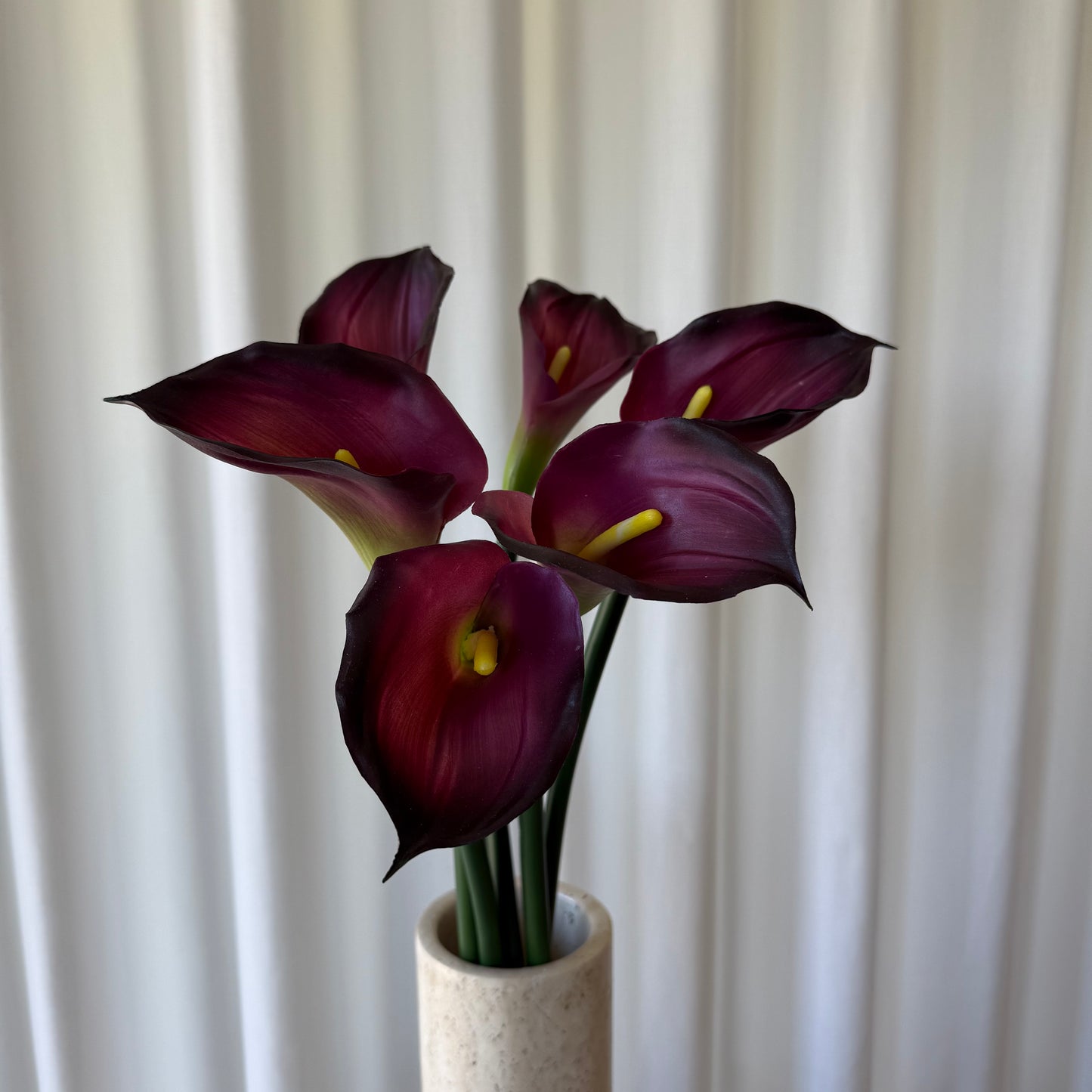Calla bordeaux
