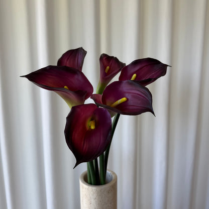 Calla bordeaux