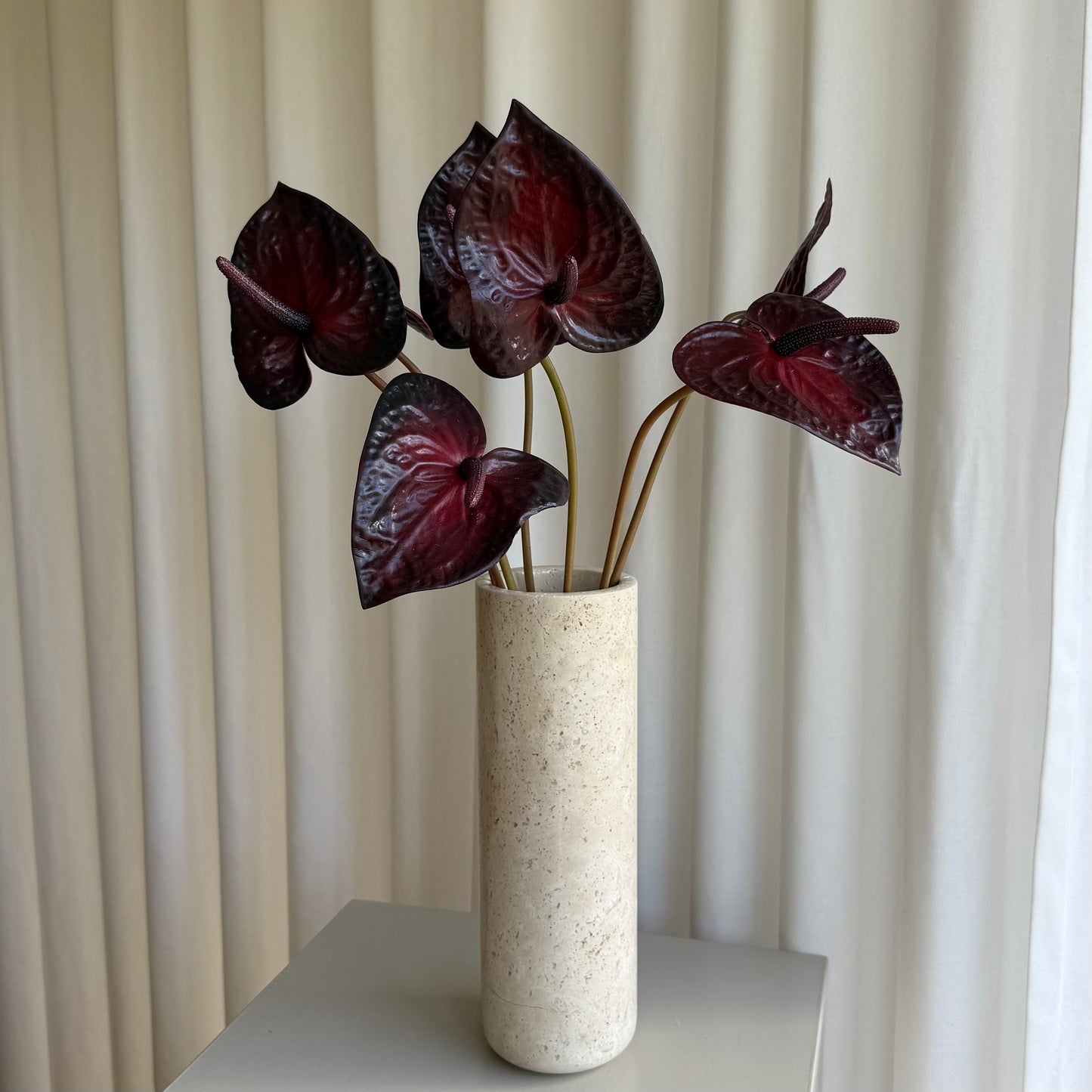 Anthurium mørke rød