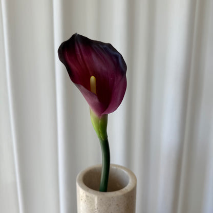 Calla bordeaux