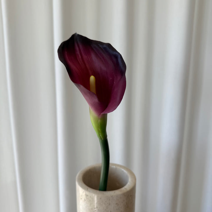 Calla bordeaux