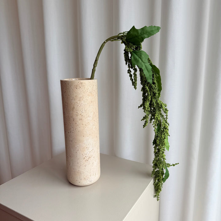 Amaranthus mørkegrøn