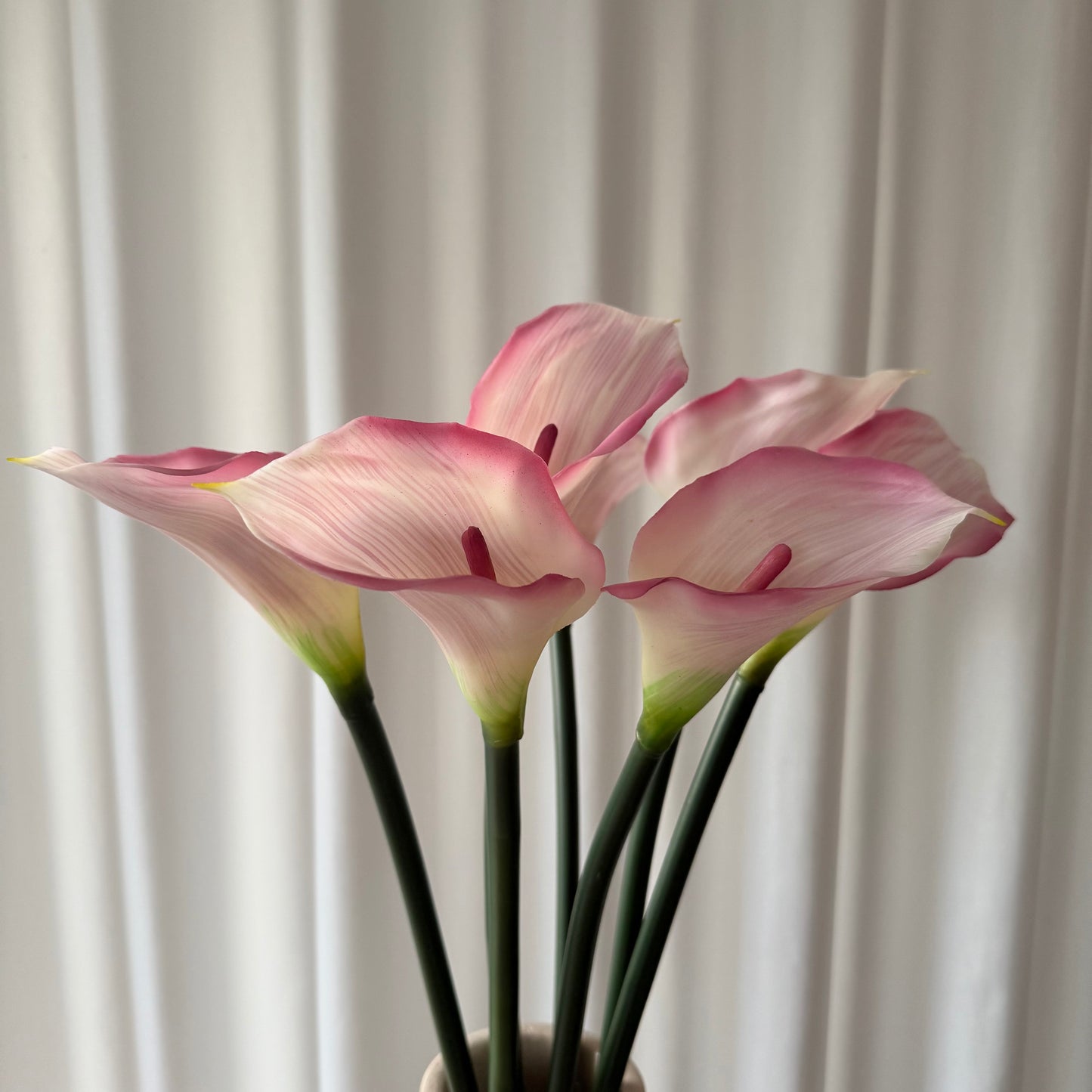 Calla lyserød