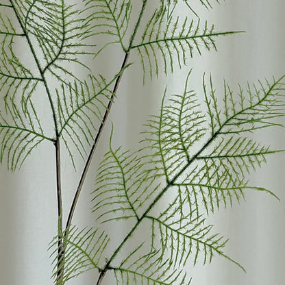 Fern grøn