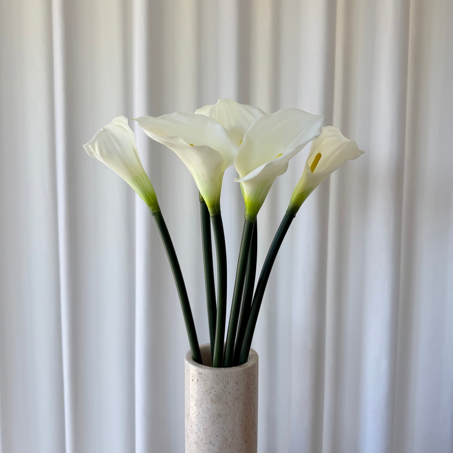 Calla hvid