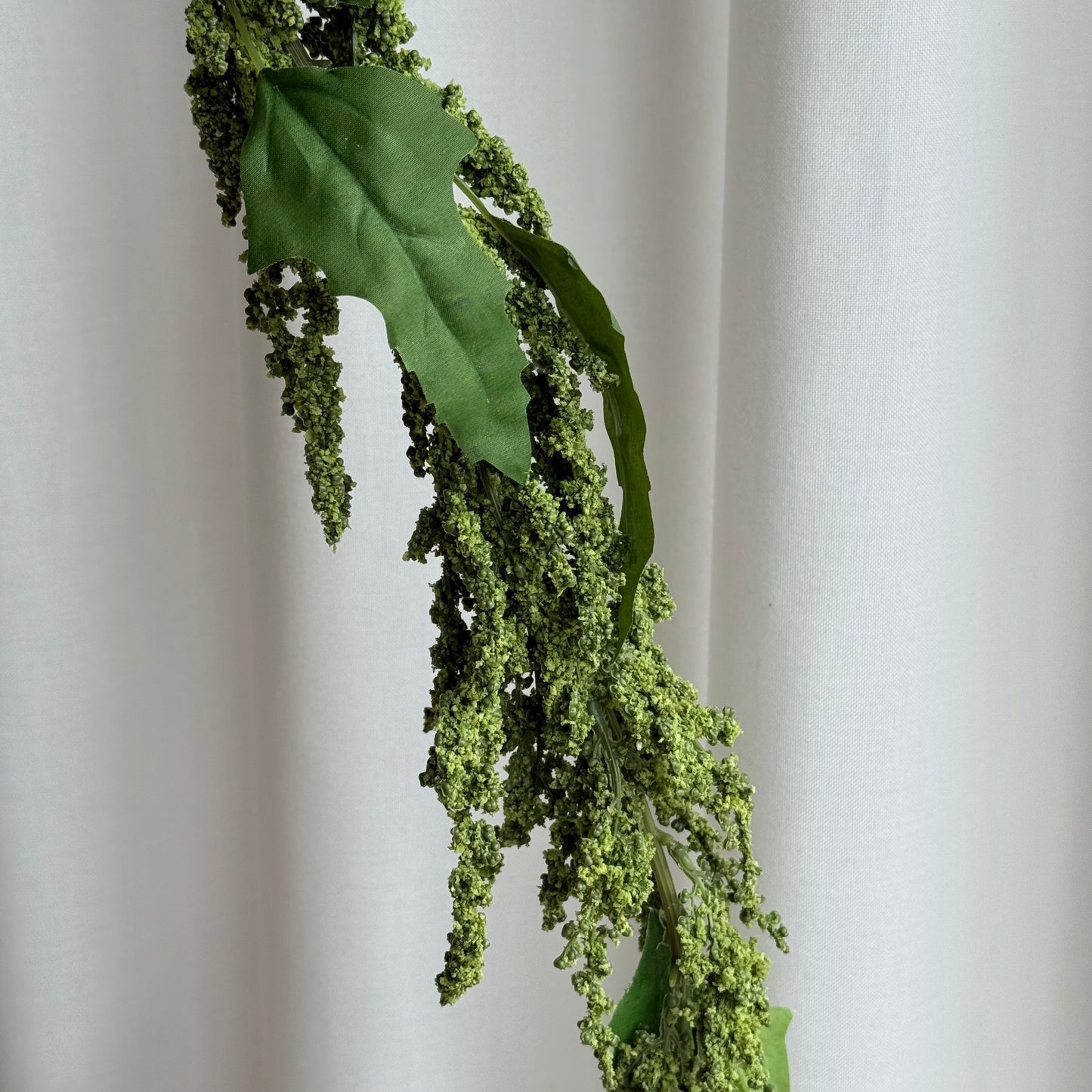 Amaranthus mørkegrøn