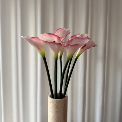 Calla lyserød