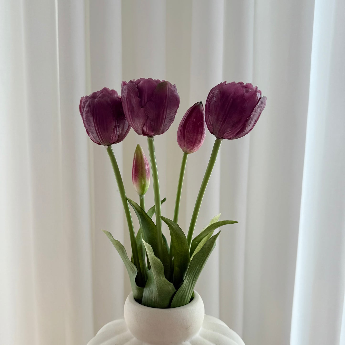 Tulipaner mørke lilla