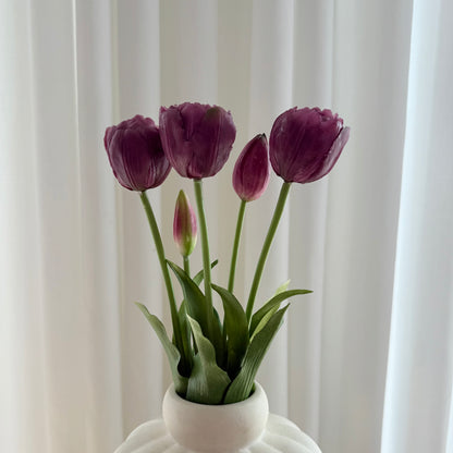 Tulipaner mørke lilla