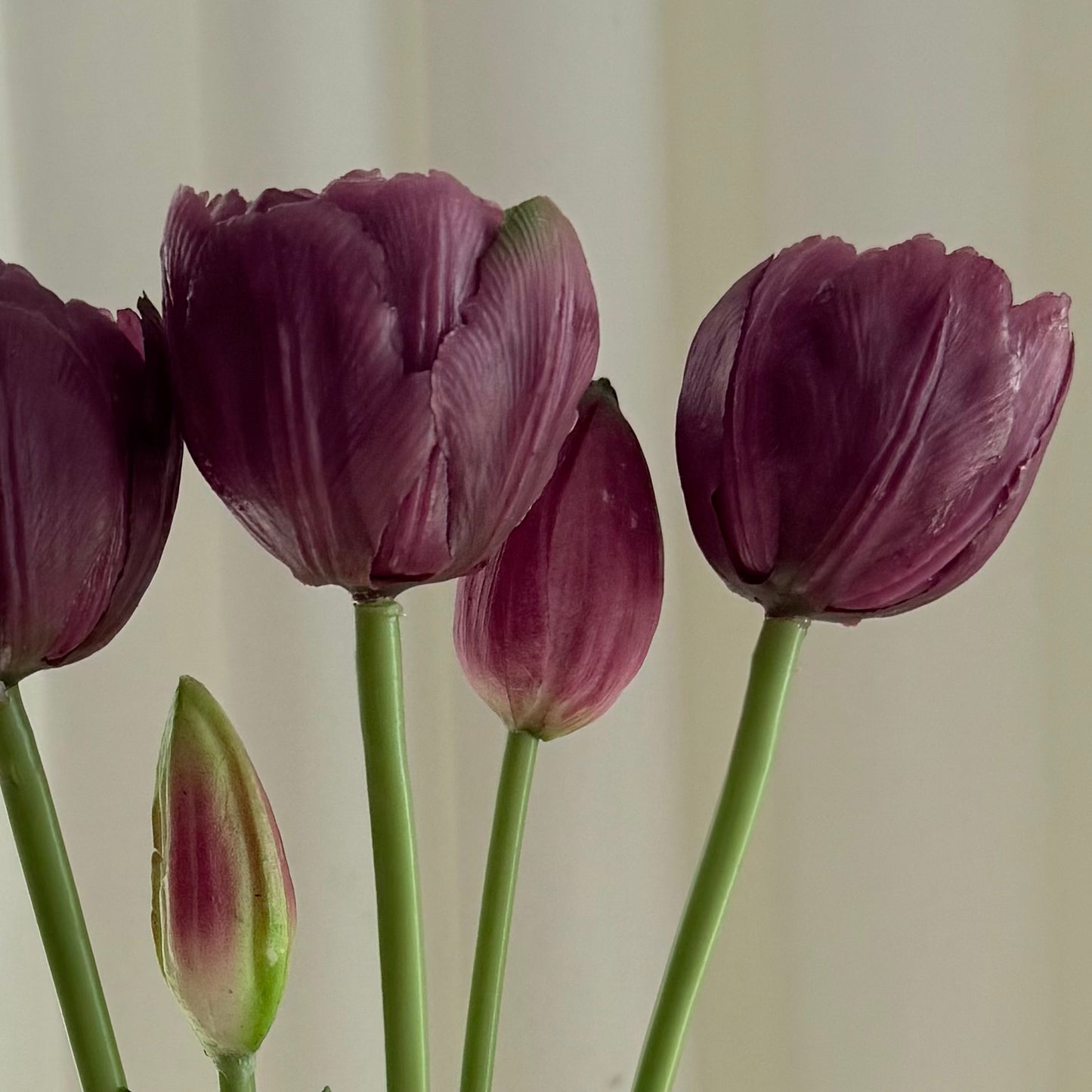 Tulipaner mørke lilla