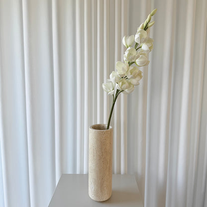 Gladiolus Orchid hvid
