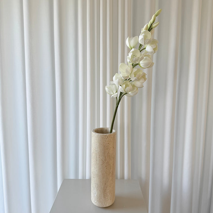 Gladiolus Orchid hvid