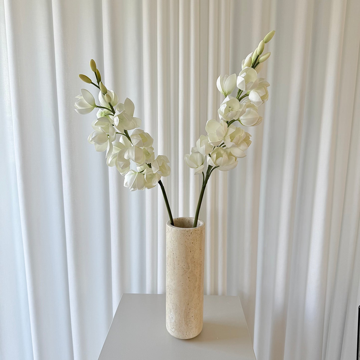 Gladiolus Orchid hvid