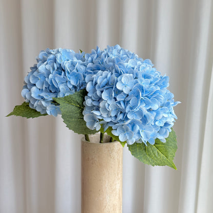 Hortensia blå
