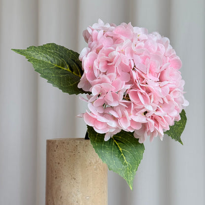 Hortensia lyserød