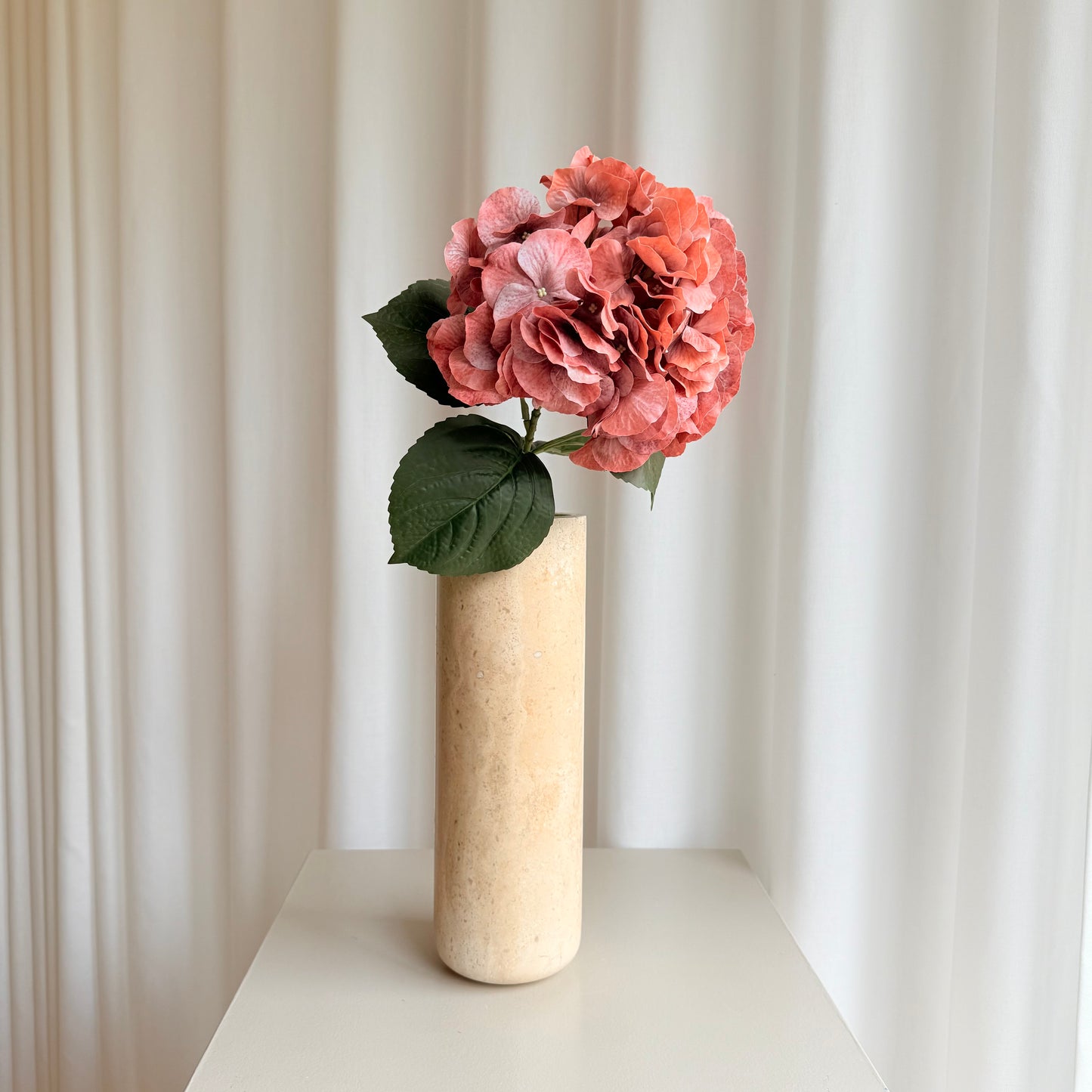 Hortensia orange